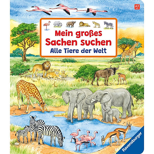 Mein großes Sachen suchen: Alle Tiere der Welt, Susanne Gernhäuser