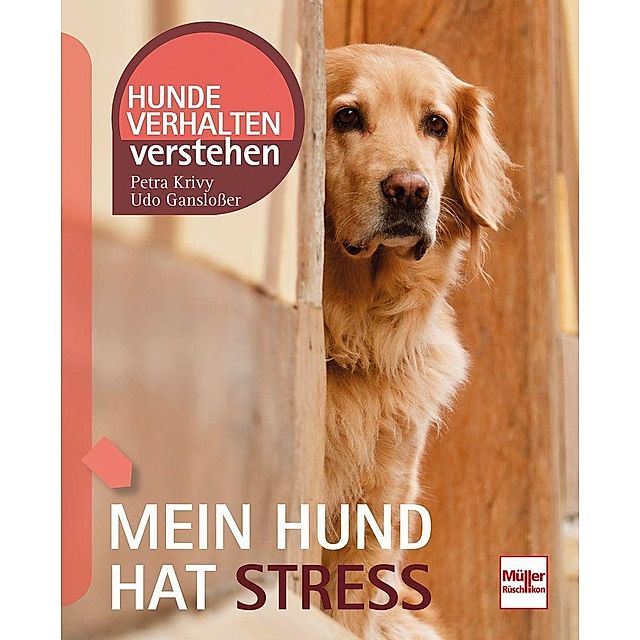 Mein Hund hat Stress Buch von Udo Gansloßer versandkostenfrei kaufen
