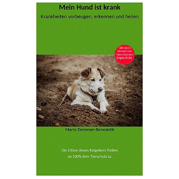 Mein Hund ist krank, Mario Demmer-Benedetti