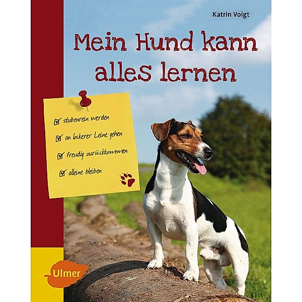 Mein Hund kann alles lernen, Katrin Voigt