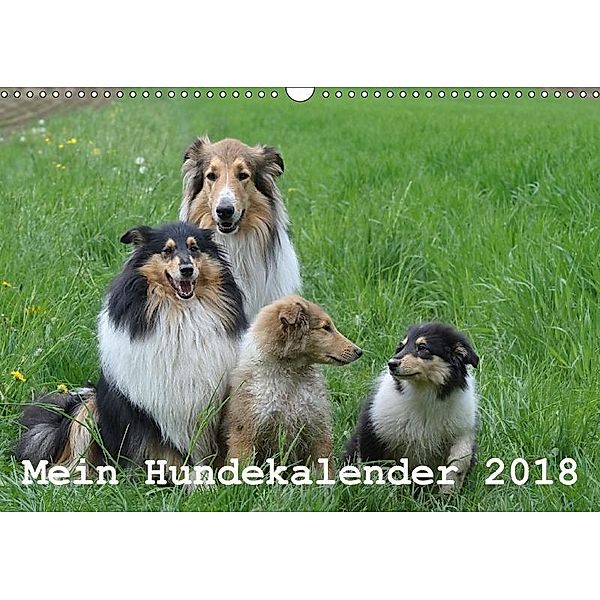 Mein Hundekalender 2018 (Wandkalender 2018 DIN A3 quer), Heidi Bollich