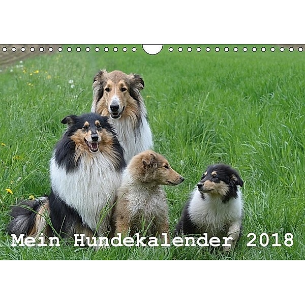 Mein Hundekalender 2018 (Wandkalender 2018 DIN A4 quer), Heidi Bollich