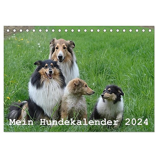 Mein Hundekalender 2024 (Tischkalender 2024 DIN A5 quer), CALVENDO Monatskalender, Heidi Bollich