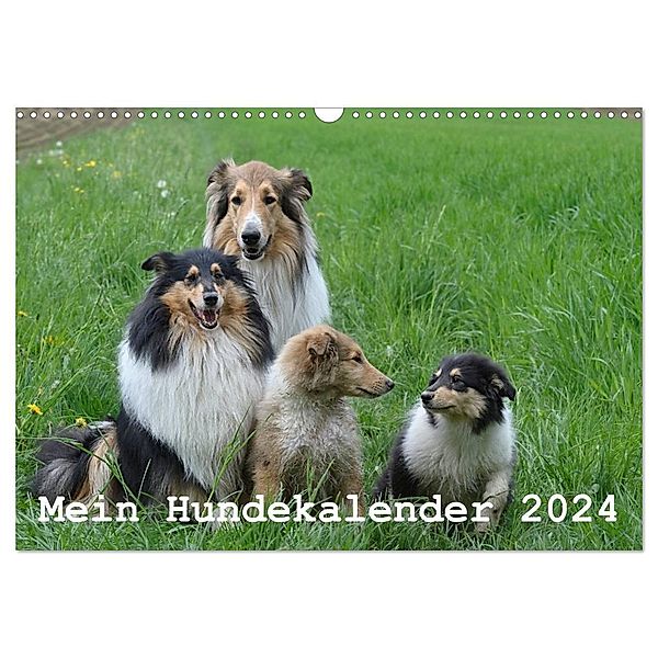 Mein Hundekalender 2024 (Wandkalender 2024 DIN A3 quer), CALVENDO Monatskalender, Heidi Bollich