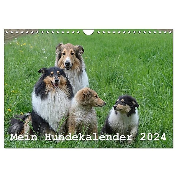 Mein Hundekalender 2024 (Wandkalender 2024 DIN A4 quer), CALVENDO Monatskalender, Heidi Bollich