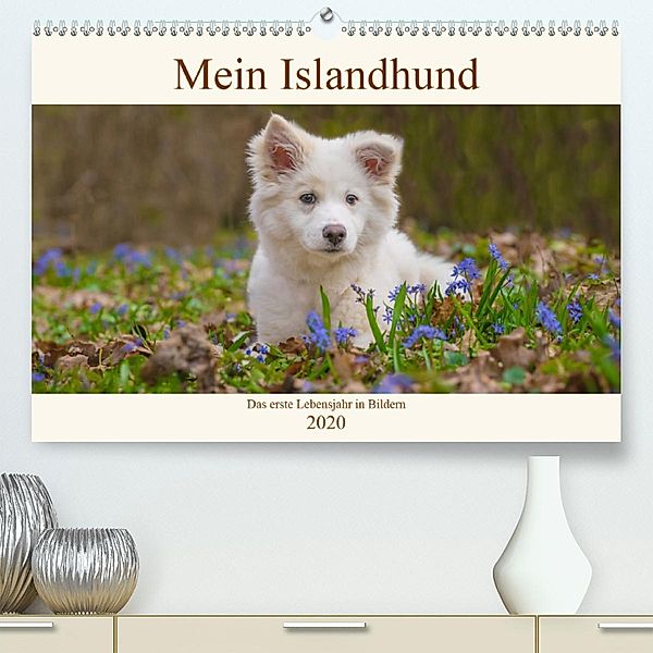 Mein Islandhund - das erste Lebensjahr in Bildern (Premium-Kalender 2020 DIN A2 quer), Monika Scheurer