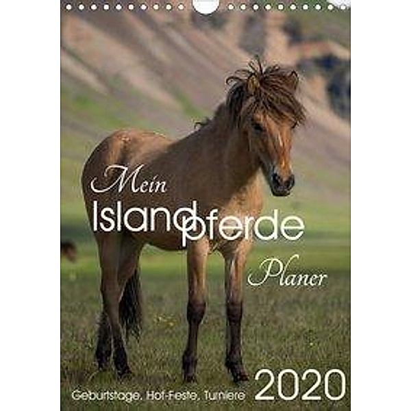 Mein ISLANDPFERDE Planer - Geburtstage, Hof-Feste, Turniere (Wandkalender 2020 DIN A4 hoch), Irma van der Wiel