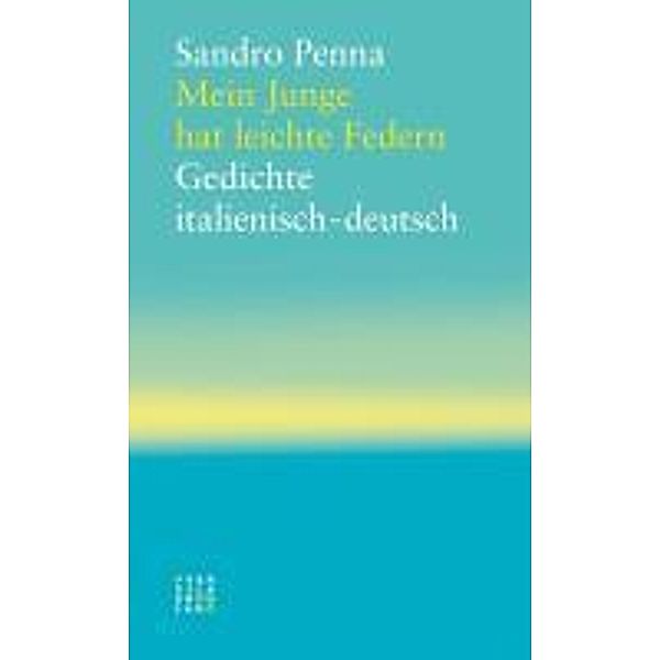 Mein Junge hat leichte Federn, Sandro Penna