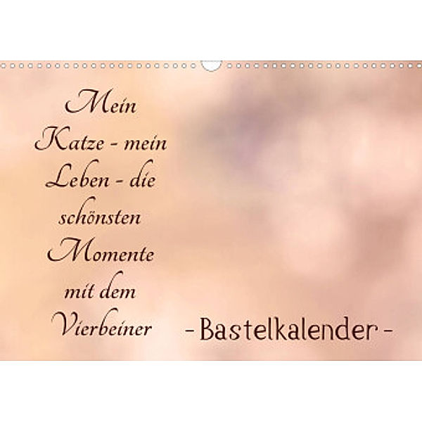 Mein Katze - mein Leben - die schönsten Momente mit dem Vierbeiner - Bastelkalender (Wandkalender 2022 DIN A3 quer), Tanja Riedel