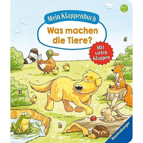 Mein Klappenbuch:  Was machen die Tiere?; ., Susanne Gernhäuser