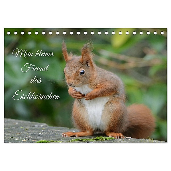 Mein kleiner Freund das Eichhörnchen (Tischkalender 2024 DIN A5 quer), CALVENDO Monatskalender, Rufotos