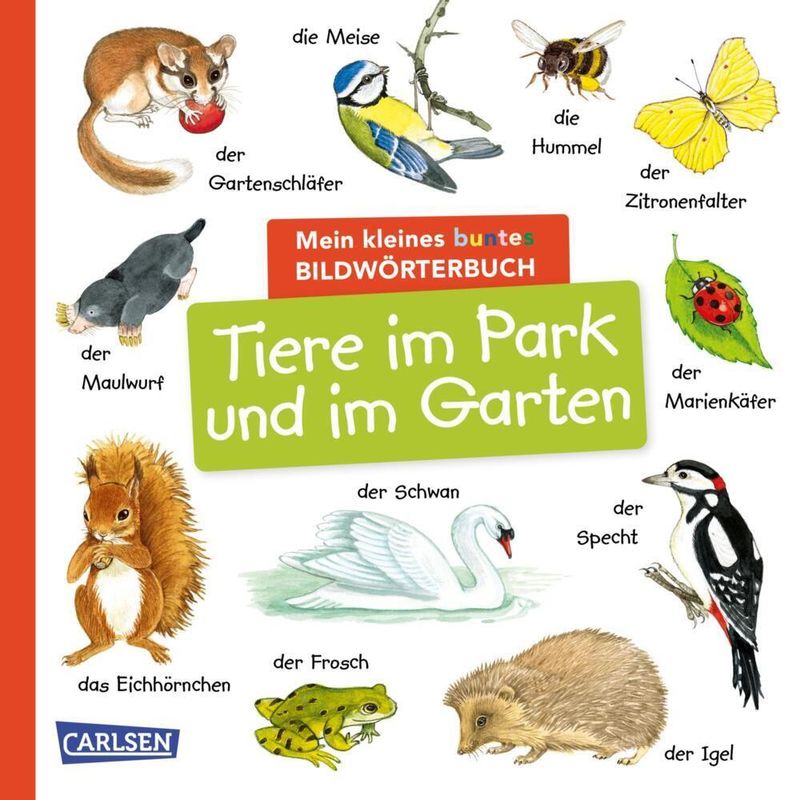 Image of Mein Kleines Buntes Bildwörterbuch: Tiere Im Park Und Im Garten, Pappband