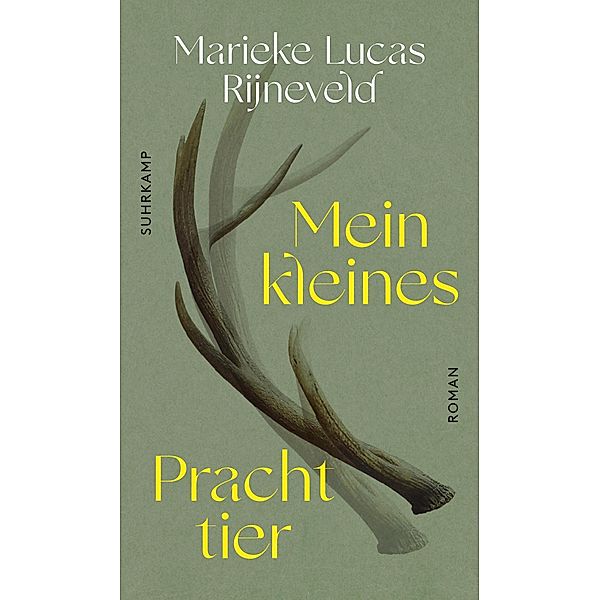 Mein kleines Prachttier, Marieke Lucas Rijneveld