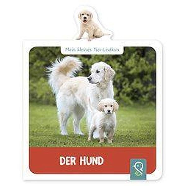 Mein kleines Tier-Lexikon - Der Hund Buch versandkostenfrei - Weltbild.de