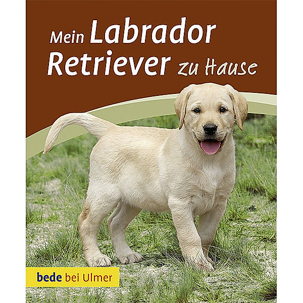 Mein Labrador Retriever zu Hause, Maike Harms