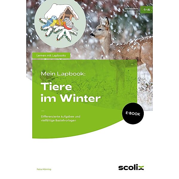 Mein Lapbook: Tiere im Winter / Lernen mit Lapbooks - Grundschule, Petra Mönning