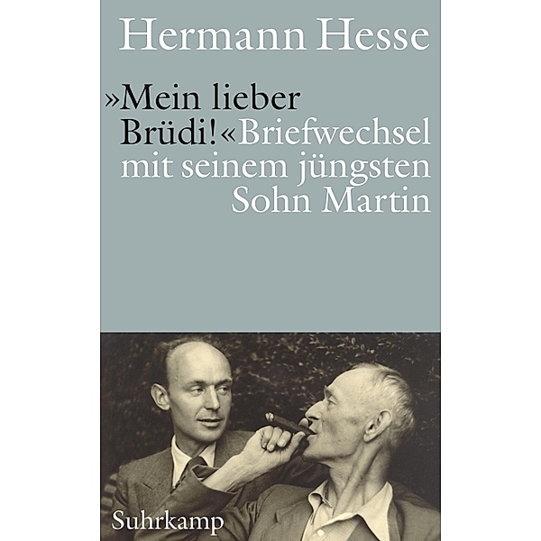 »Mein lieber Brüdi!«, Hermann Hesse