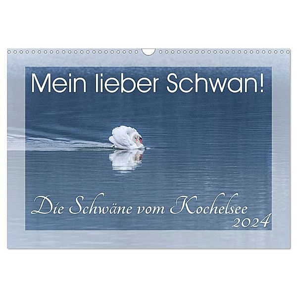 Mein lieber Schwan! Die Schwäne vom Kochelsee. (Wandkalender 2024 DIN A3 quer), CALVENDO Monatskalender, Irma van der Wiel www.kalender-atelier.de