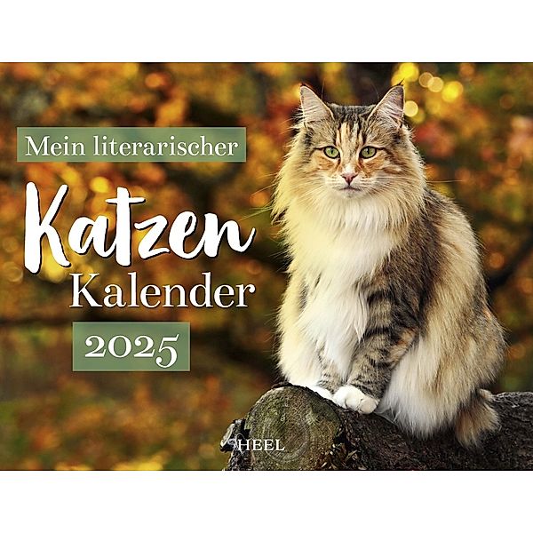 Mein Literarischer Katzenkalender 2025 Wandkalender