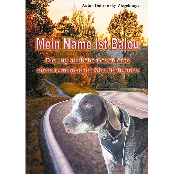 Mein Name ist Balou, Anton Dobrowsky-Ziegelmayer