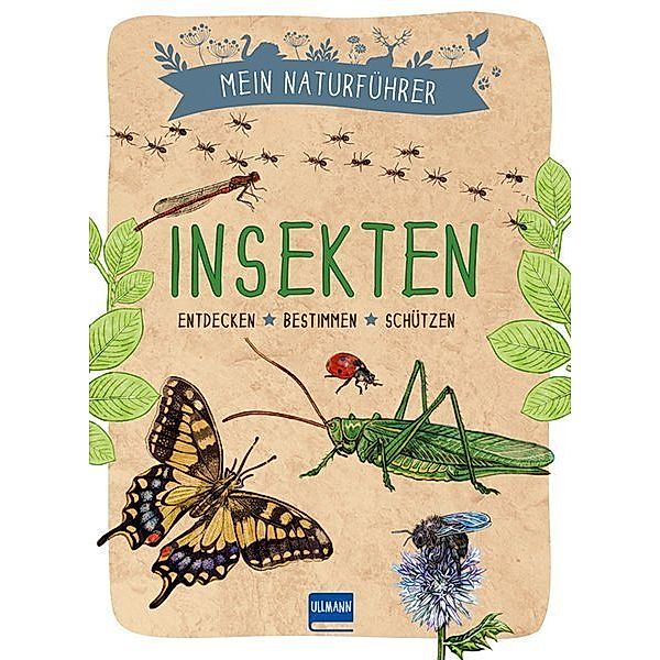 Mein Naturführer - Insekten, Xavier Japiot