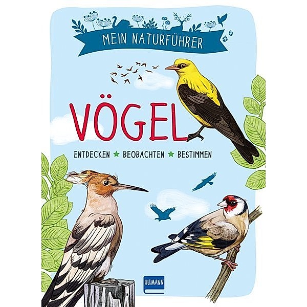 Mein Naturführer - Vögel, Michel Luchesi