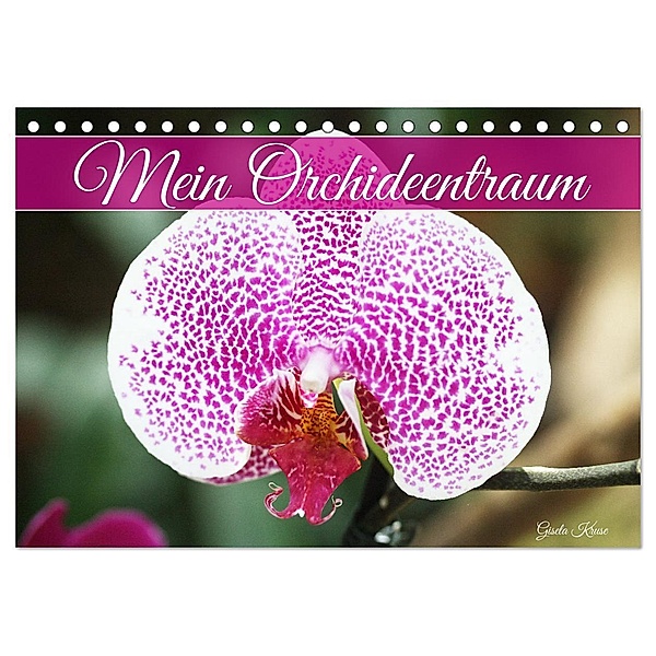 Mein Orchideentraum (Tischkalender 2024 DIN A5 quer), CALVENDO Monatskalender, Gisela Kruse