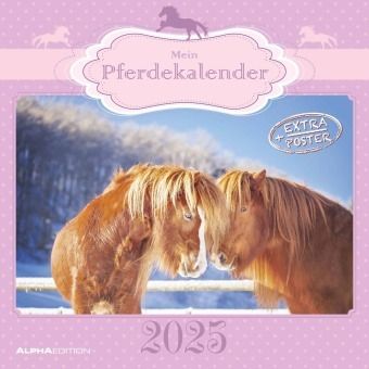 Mein Pferdekalender 2025 - Broschürenkalender 30x30 cm 30x60 geöffnet - Kalender mit Platz für 