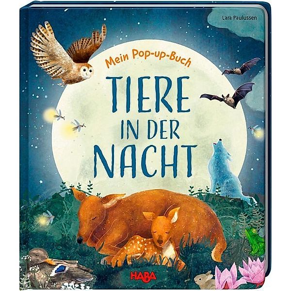 Mein Pop-up-Buch / Mein Pop-up-Buch - Tiere in der Nacht, Becky Davies
