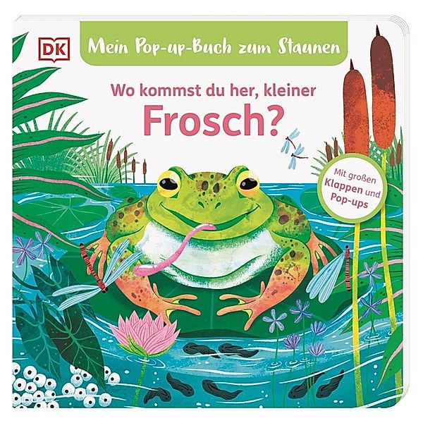 Mein Pop-up-Buch zum Staunen. Wo kommst du her, kleiner Frosch?, Sandra Grimm