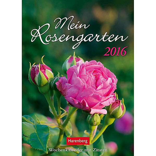 Mein Rosengarten 2016