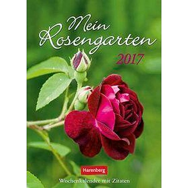 Mein Rosengarten 2017