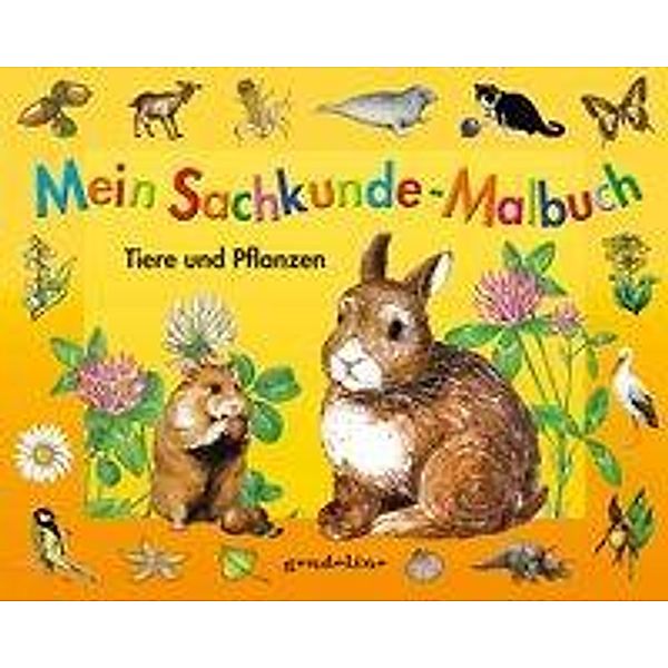 Mein Sachkunde-Malbuch Tiere und Pflanzen (orange)