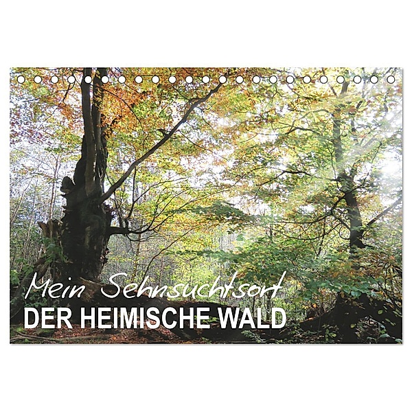Mein Sehnsuchtsort, der heimische Wald (Tischkalender 2024 DIN A5 quer), CALVENDO Monatskalender, Sabine Löwer