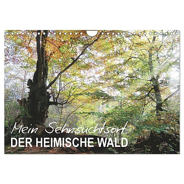 Mein Sehnsuchtsort, der heimische Wald (Wandkalender 2024 DIN A4 quer), CALVENDO Monatskalender, Sabine Löwer