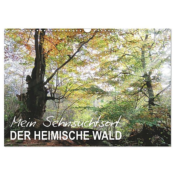 Mein Sehnsuchtsort, der heimische Wald (Wandkalender 2025 DIN A3 quer), CALVENDO Monatskalender, Calvendo, Sabine Löwer