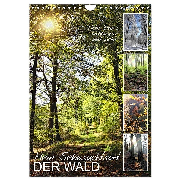 Mein Sehnsuchtsort, der Wald (Wandkalender 2024 DIN A4 hoch), CALVENDO Monatskalender, Sabine Löwer