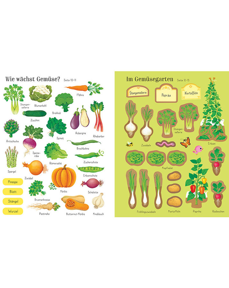 Mein Stickerbuch: Wie wachsen Obst und Gemüse? Buch - Weltbild.at