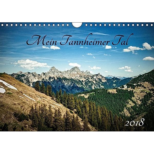Mein Tannheimer Tal (Wandkalender 2018 DIN A4 quer), Georg Hanf