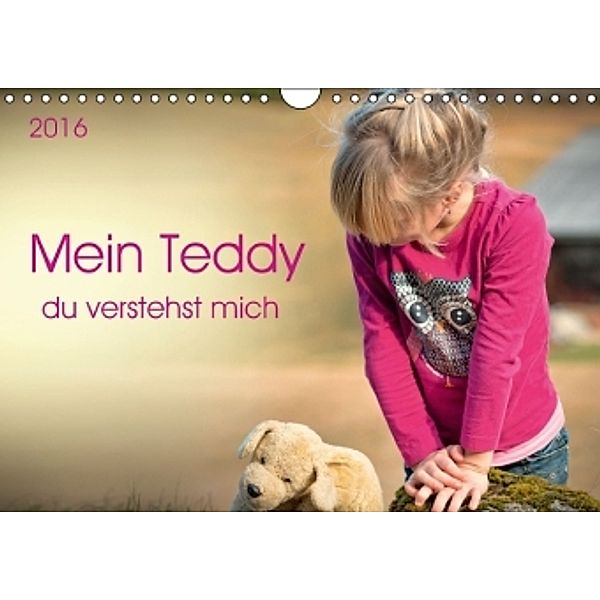 Mein Teddy - du verstehst mich (Wandkalender 2016 DIN A4 quer), Peter Roder
