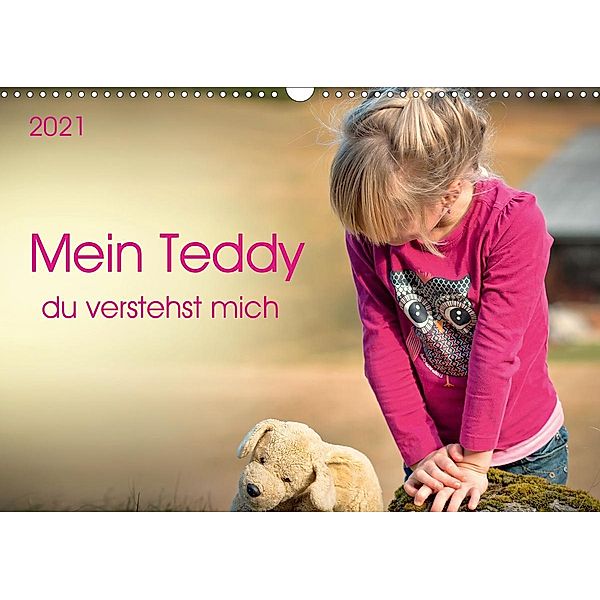 Mein Teddy - du verstehst mich (Wandkalender 2021 DIN A3 quer), Peter Roder