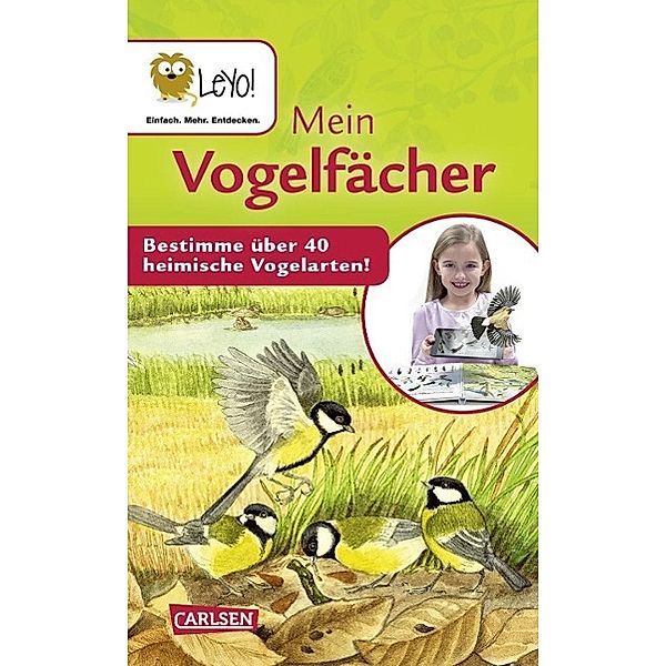 Mein Vogelfächer, Bärbel Oftring