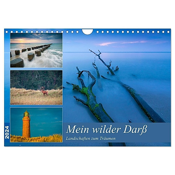 Mein wilder Darß - Landschaften zum Träumen (Wandkalender 2024 DIN A4 quer), CALVENDO Monatskalender, Martin Wasilewski