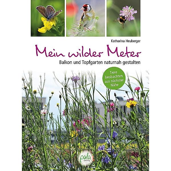 Mein wilder Meter, Katharina Heuberger