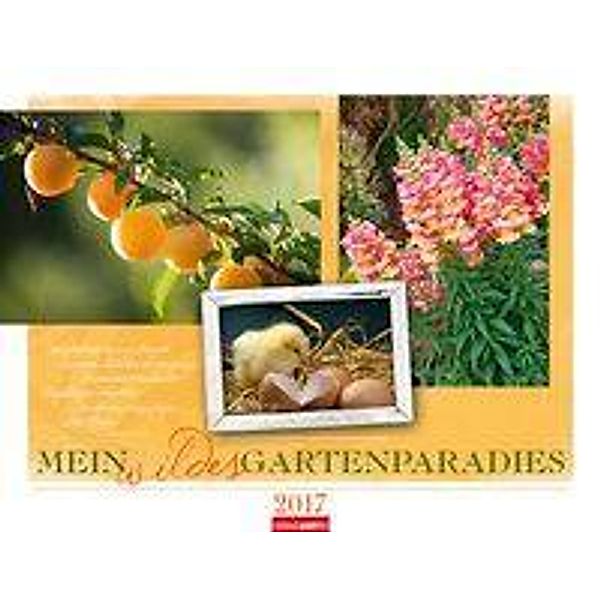 Mein wildes Gartenparadies 2017