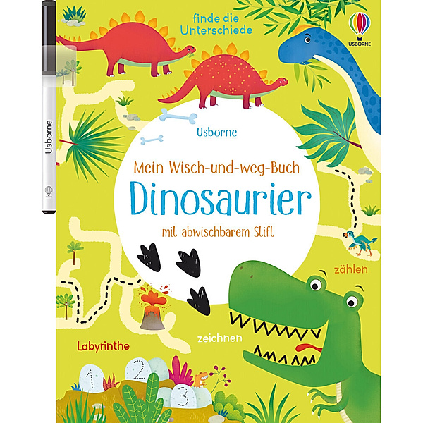 Mein Wisch-und-weg-Buch: Dinosaurier, Kirsteen Robson