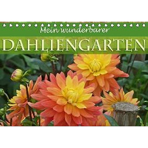 Mein wunderbarer Dahliengarten (Tischkalender 2017 DIN A5 quer), Christine B-B Müller