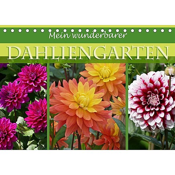 Mein wunderbarer Dahliengarten (Tischkalender 2023 DIN A5 quer), Christine B-B Müller