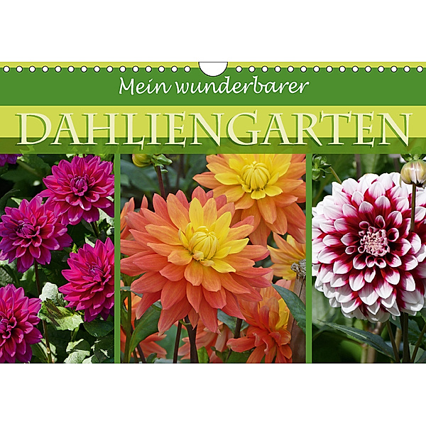 Mein wunderbarer Dahliengarten (Wandkalender 2018 DIN A4 quer), Christine B-B Müller