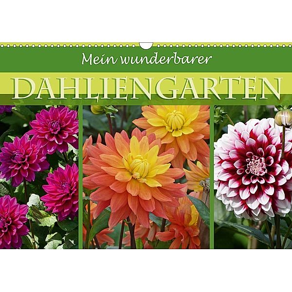 Mein wunderbarer Dahliengarten (Wandkalender 2020 DIN A3 quer), Christine B-B Müller